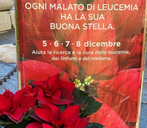 Vendita delle stelle di Natale di AIL – Service del 11 Dicembre 2021